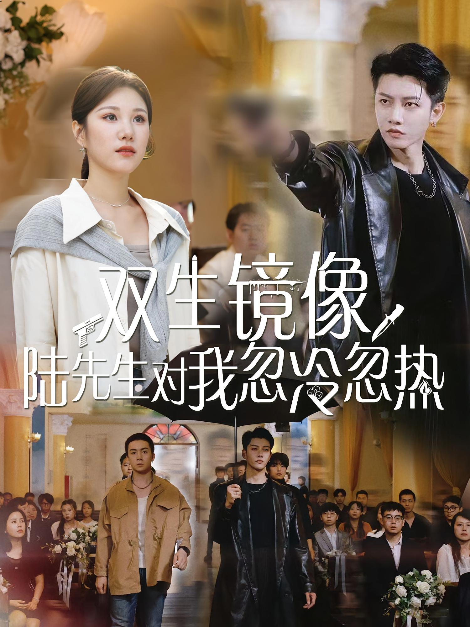 双生镜像陆先生对我忽冷忽热第38集