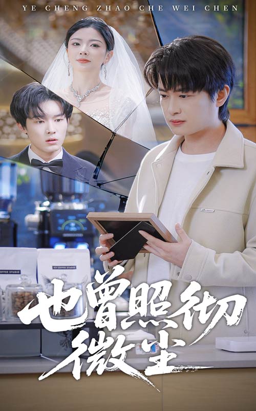 也曾照彻微尘(全集)