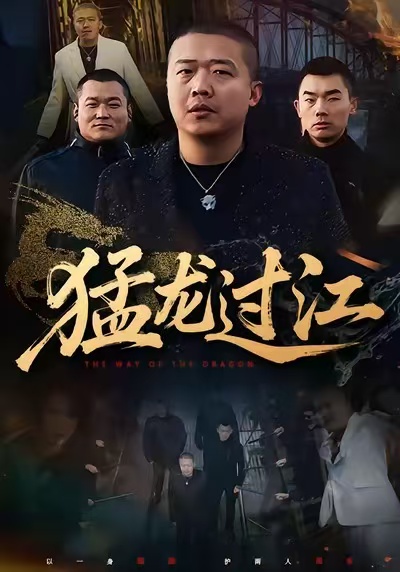 猛龙过江(全集)