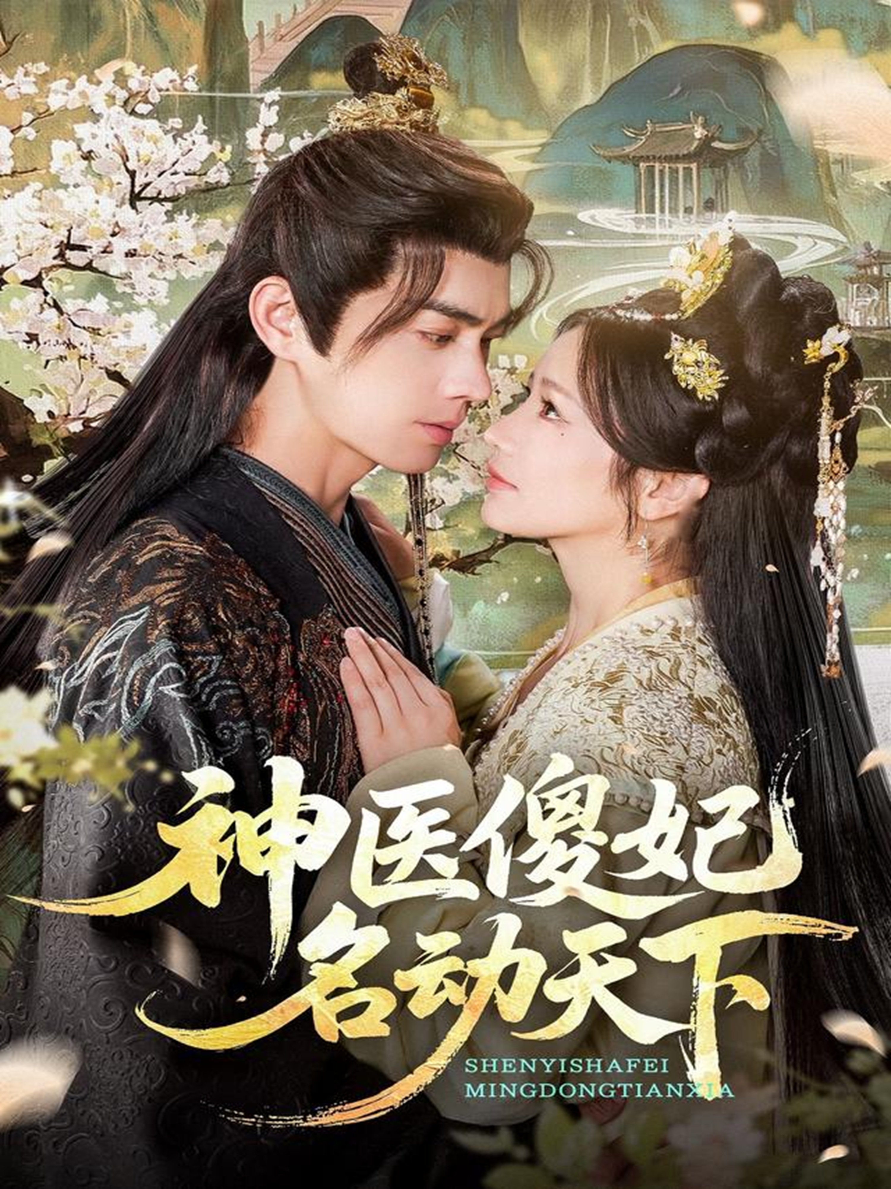 神医傻妃名动天下(全集)