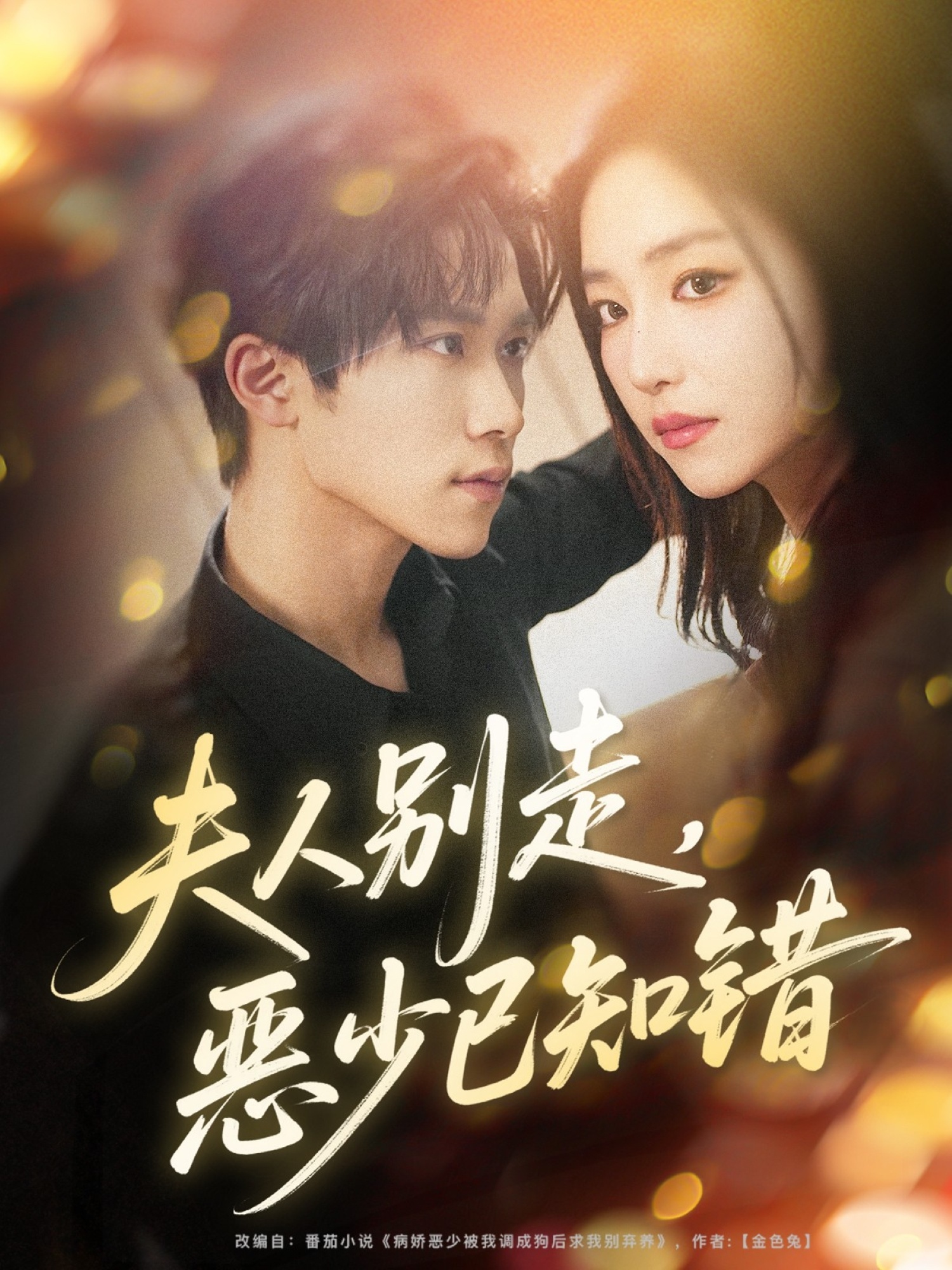 夫人别走恶少已知错(全集)